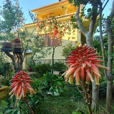 Adria Apartments สเวติ ฟิลลิปปี ยาคอฟ ภายนอก รูปภาพ