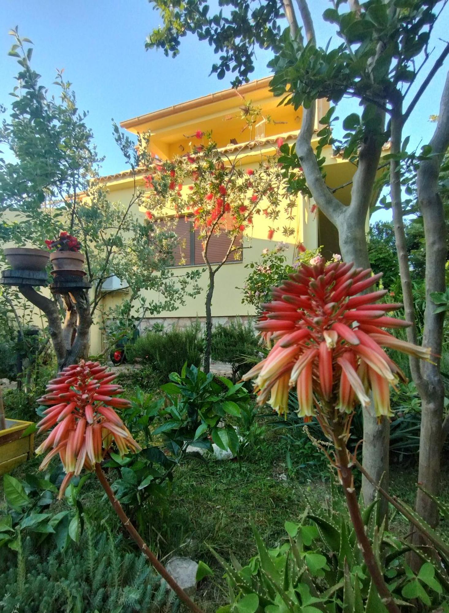 Adria Apartments สเวติ ฟิลลิปปี ยาคอฟ ภายนอก รูปภาพ
